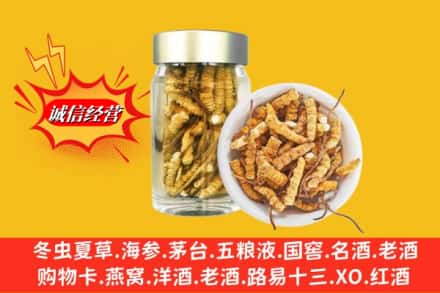 阿克苏地区温宿县回收散虫草